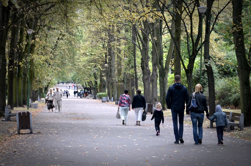 Aleją parkową spacerują ludzie