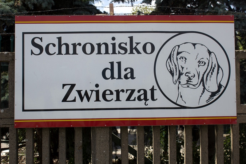 tabliczka z napisem schronisko dla zwierząt