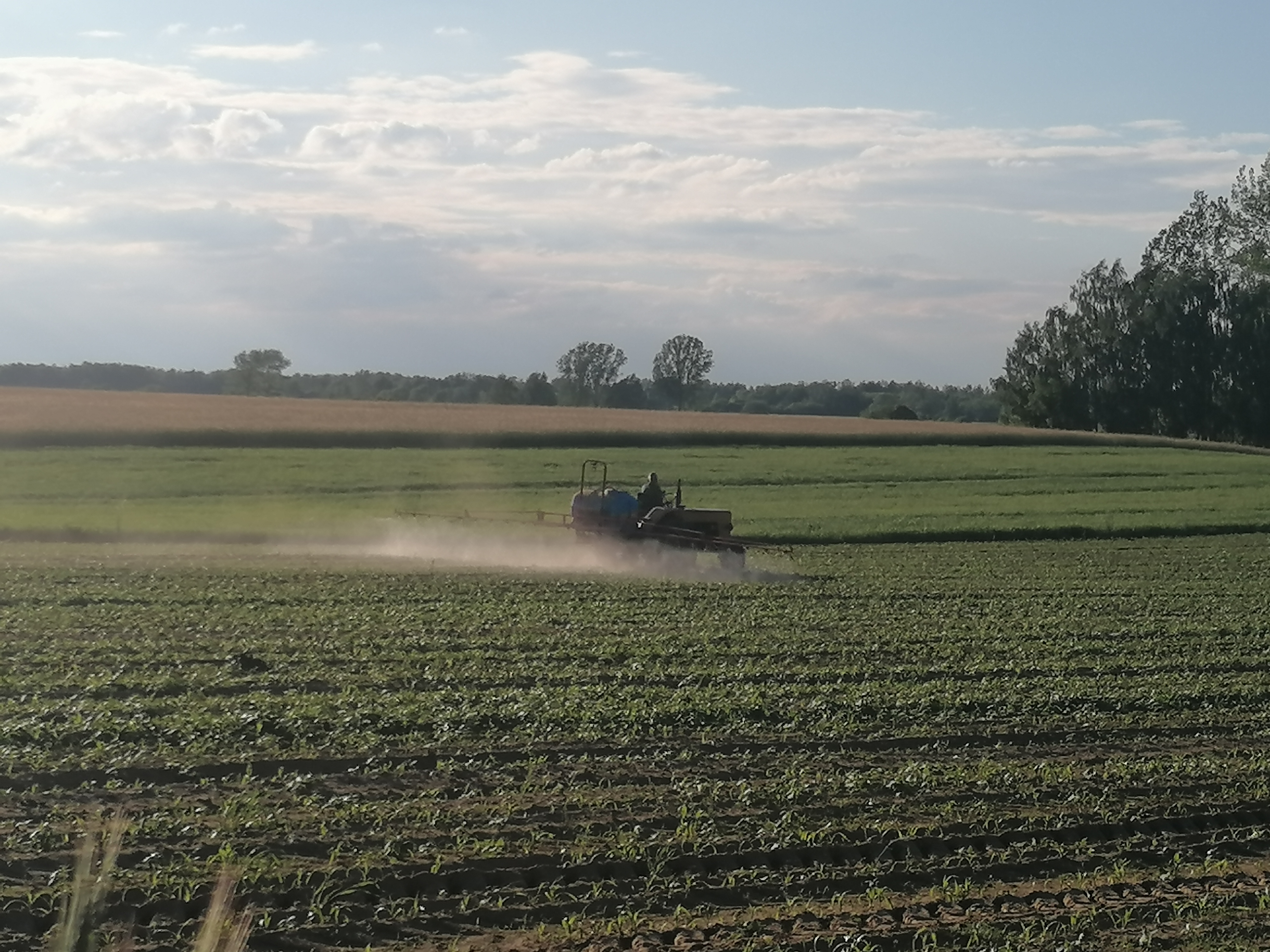 Po polu jedzie traktor. W oddali widać drzewa.