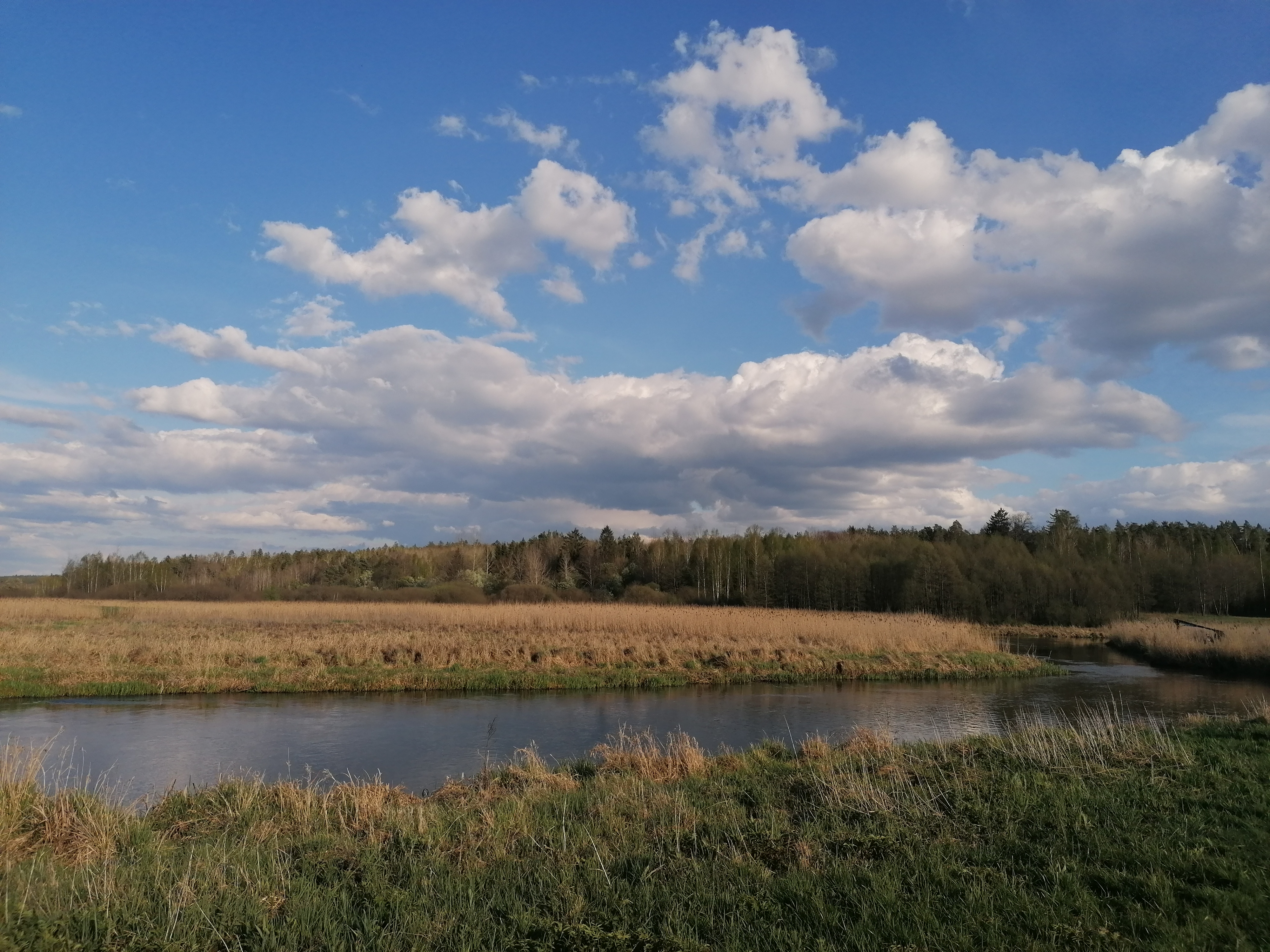 Widok; rzeka, pola, łąki, w oddali las i błękitne niebo