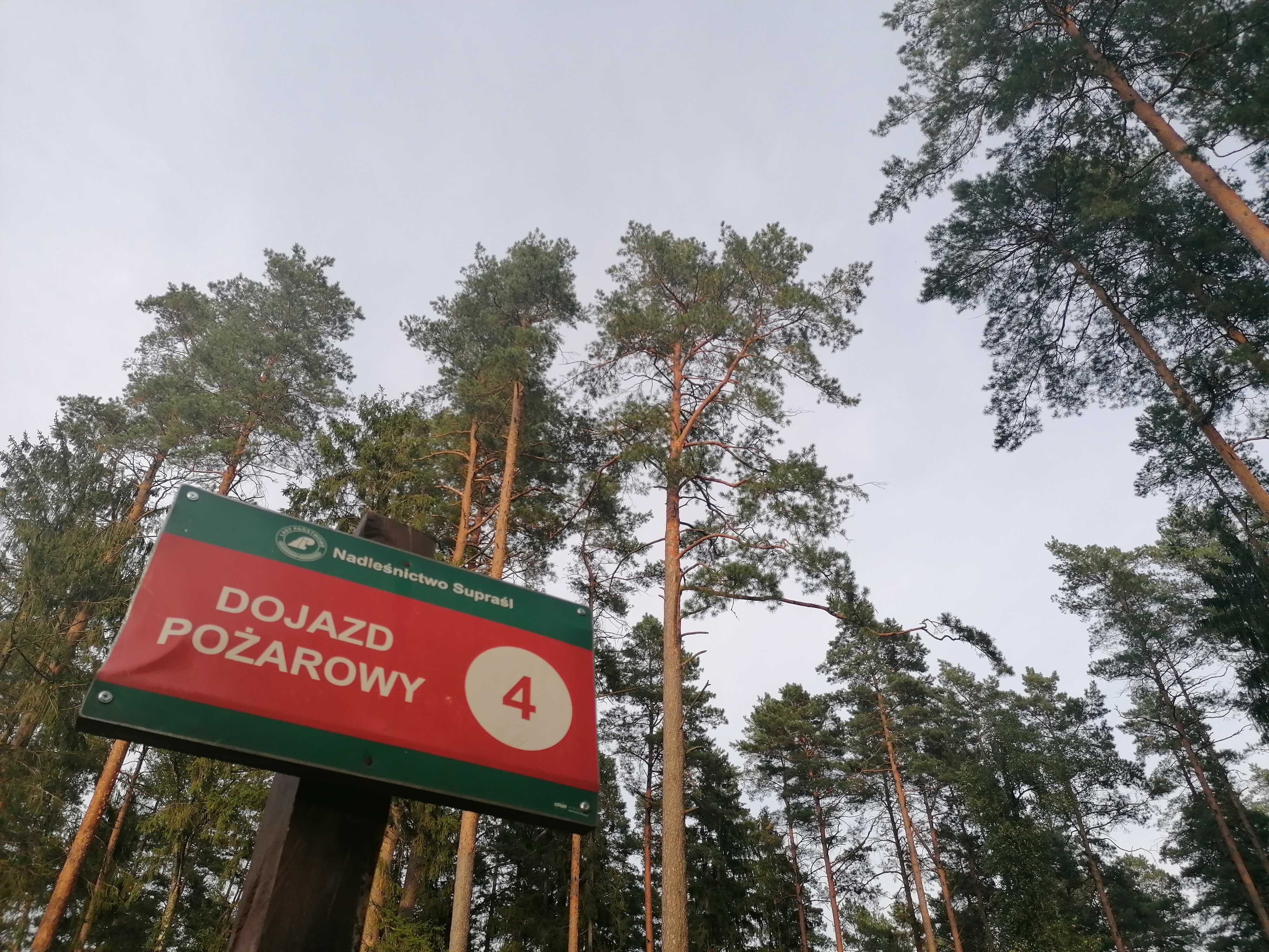 na drodze do lasu stoi tablica z napisem dojazd pożarowy