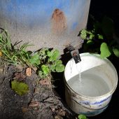 Funkcjonariusze KAS stoją na terenie leśnej bimbrowni. Na miejscu jest kadź zawierająca 300 litrów fermentującego zacieru, chłodnica i kocioł, a także doły z wodą wykorzystywaną w wytwarzaniu bimbru oraz rozlewisko