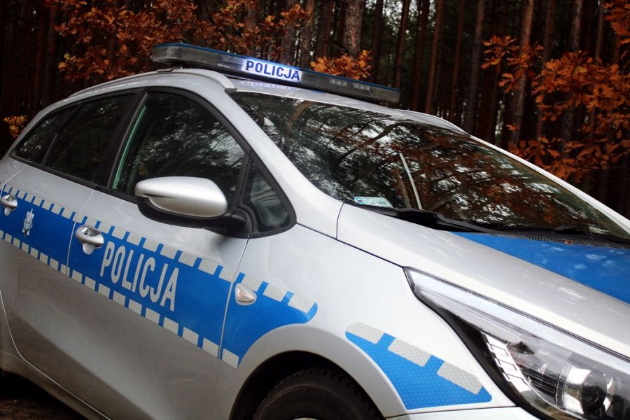 Radiowóz policyjny na tle drzew