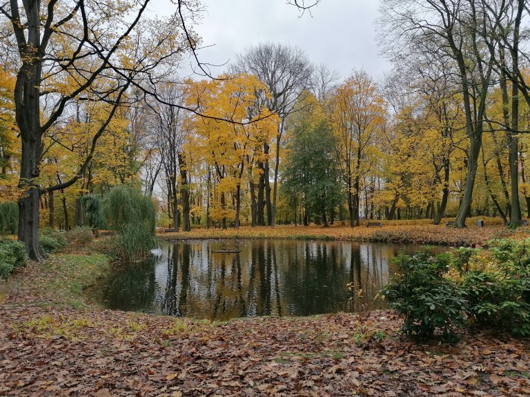 Widok na staw w parku w jesiennych barwach