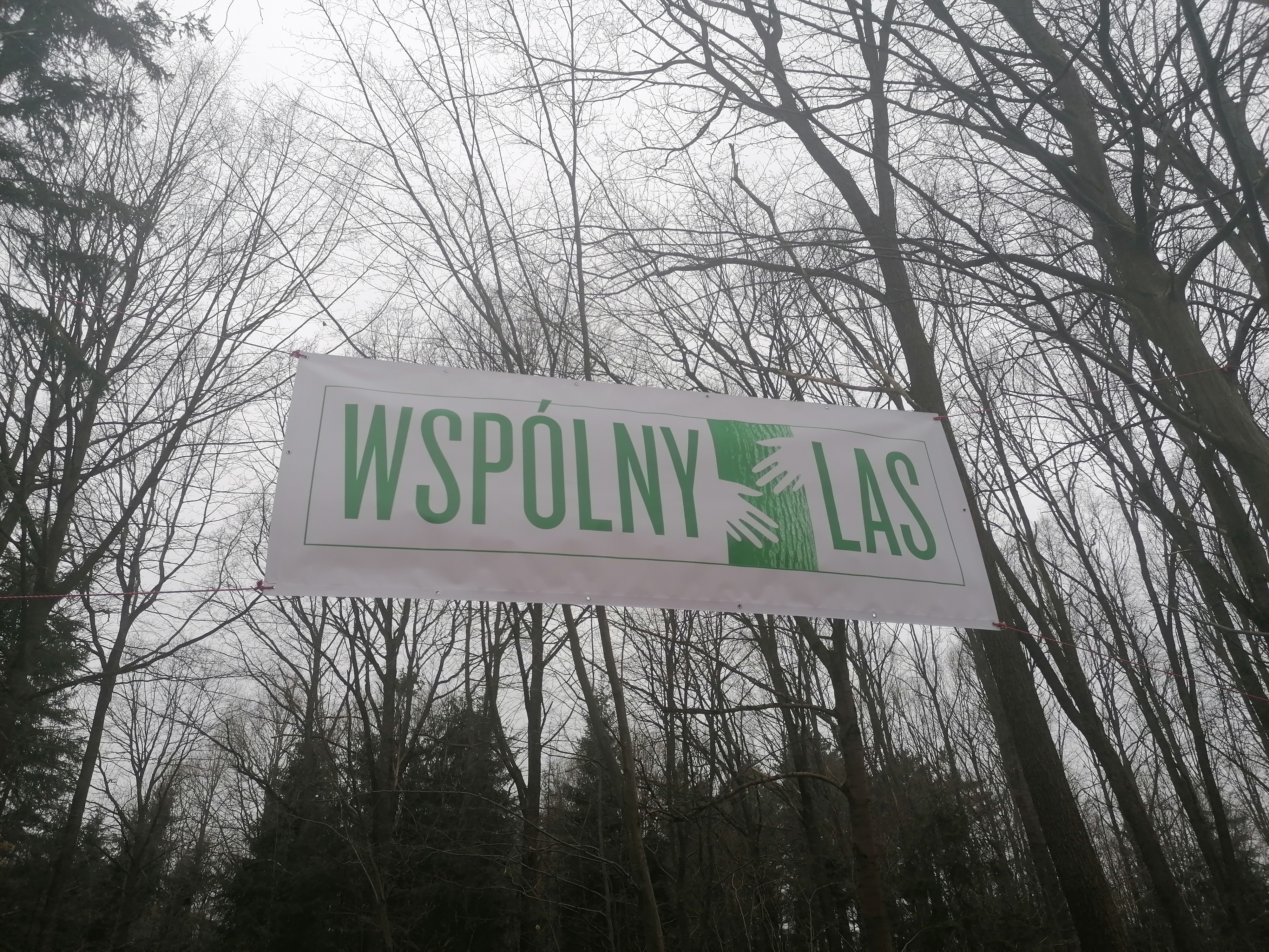 Baner z napisem wspólny las rozwieszony między drzewami