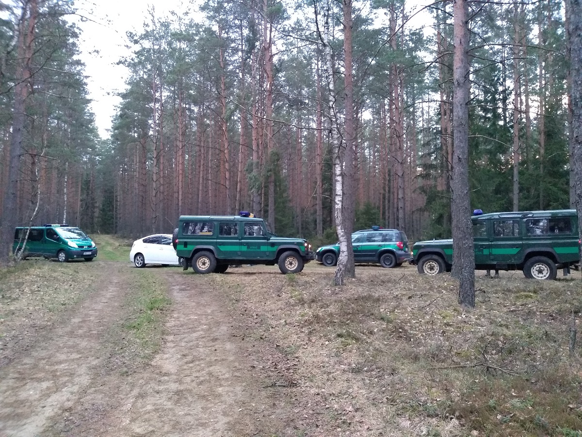 Samochody służbowe straży granicznej stoją w lesie