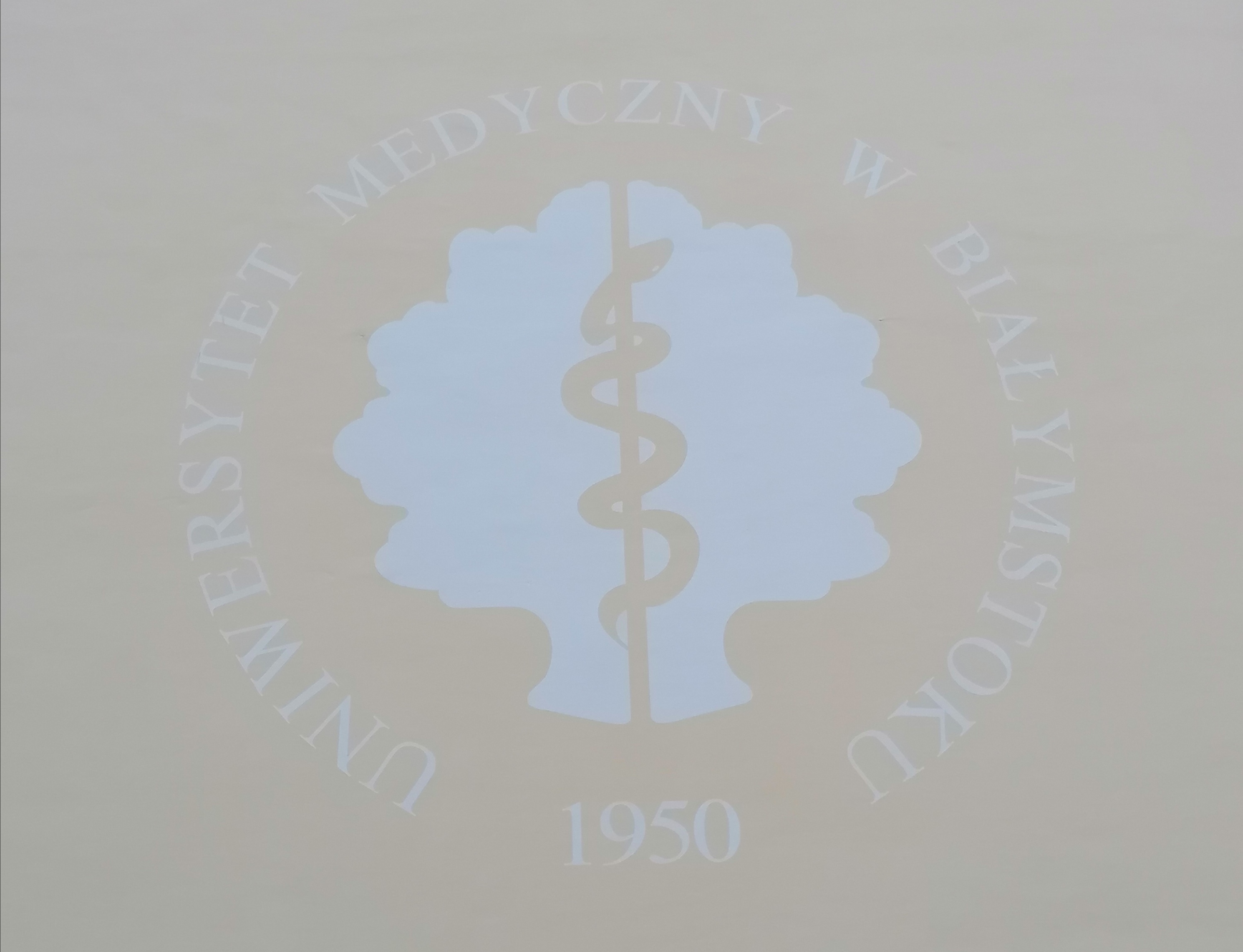LOgo UMB na ścianie budynku