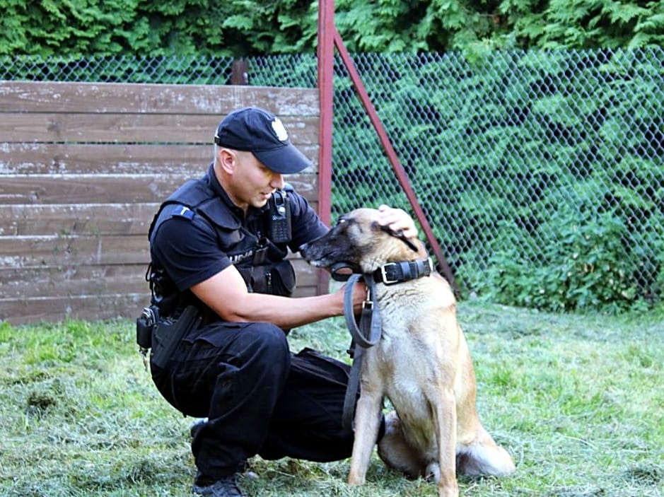 Policjant kuca obok policyjnego psa