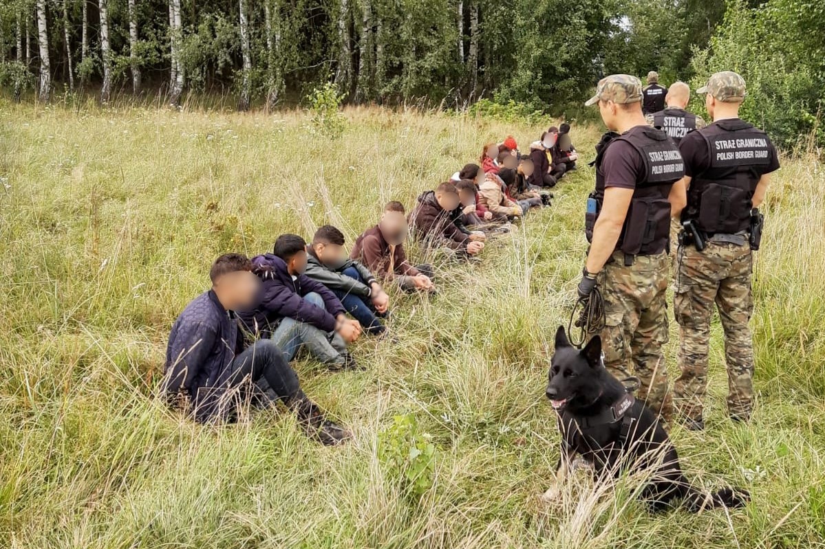 Migranci siedzą na trawie, obok stoją pogranicznicy