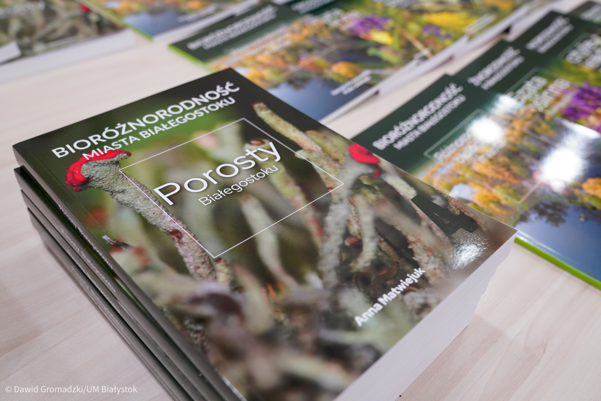 Na stole leżą książki z napisem: "Porosty Białegostoku"