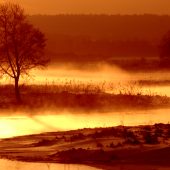 Mgła nad rzeką