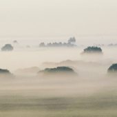 Mgły nad polami