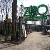 Akcent zoo wejście