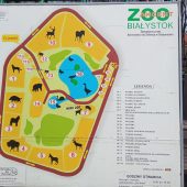 Akcent zoo mapa