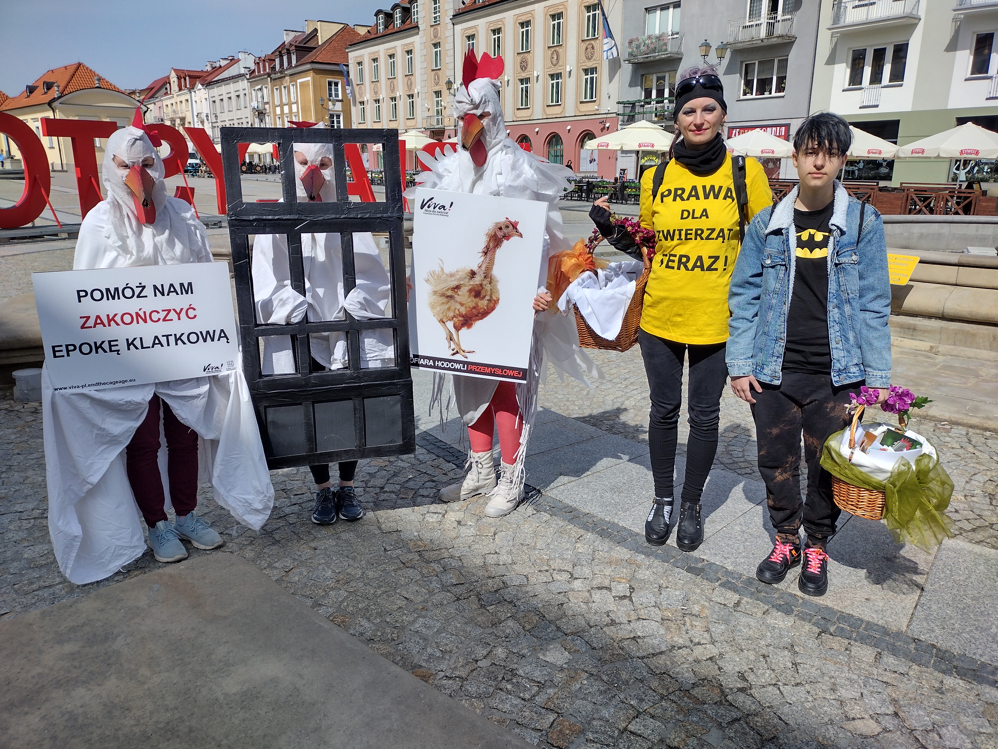 Na Rynku Kościuszki w Białymstoku obok siebie stoi pięć osób. Trzy z lwej strony są przebrane za kury