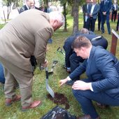 Mężczyźni sadzą drzewka