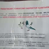 Fragment tekstu z ogłoszenia
