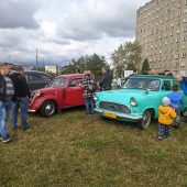 Auta zabytkowe stoją na trawie