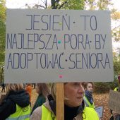 Kobieta stoi z transparentem