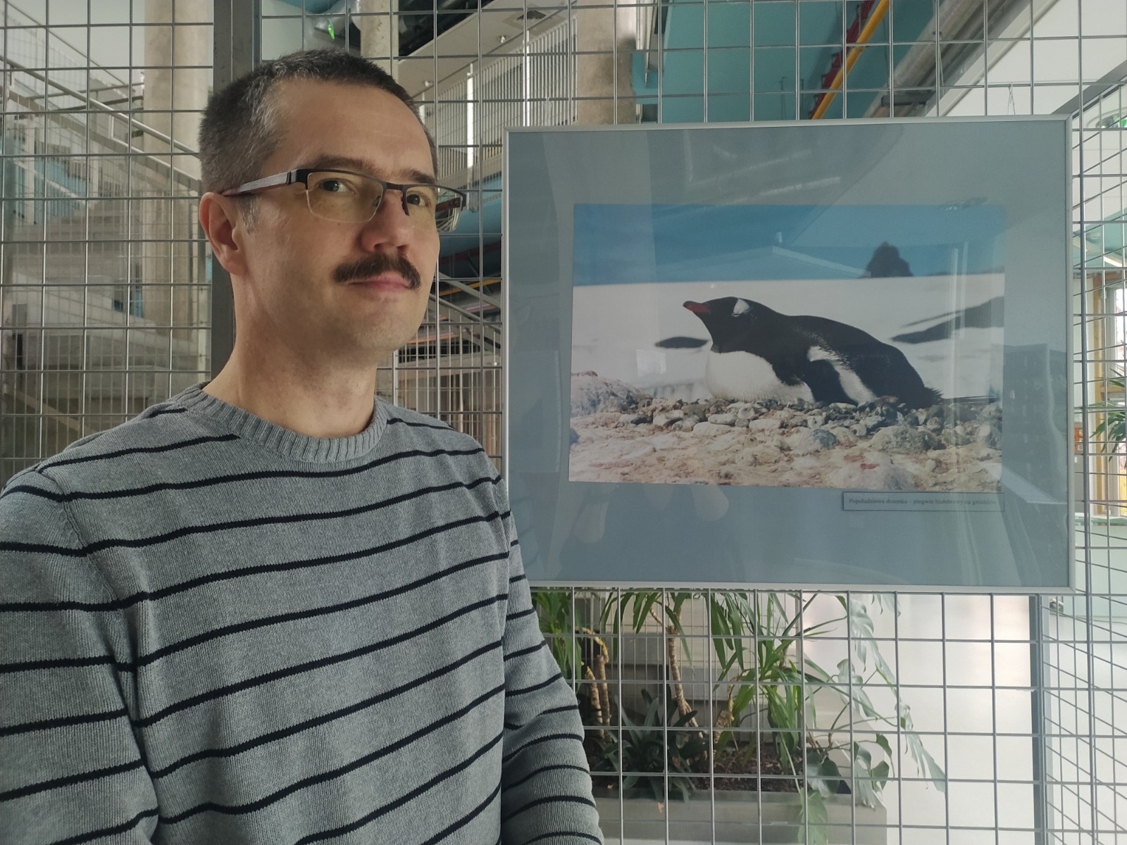 Mężczyzna w okularach stoi obok fotografii pokazującej fokę