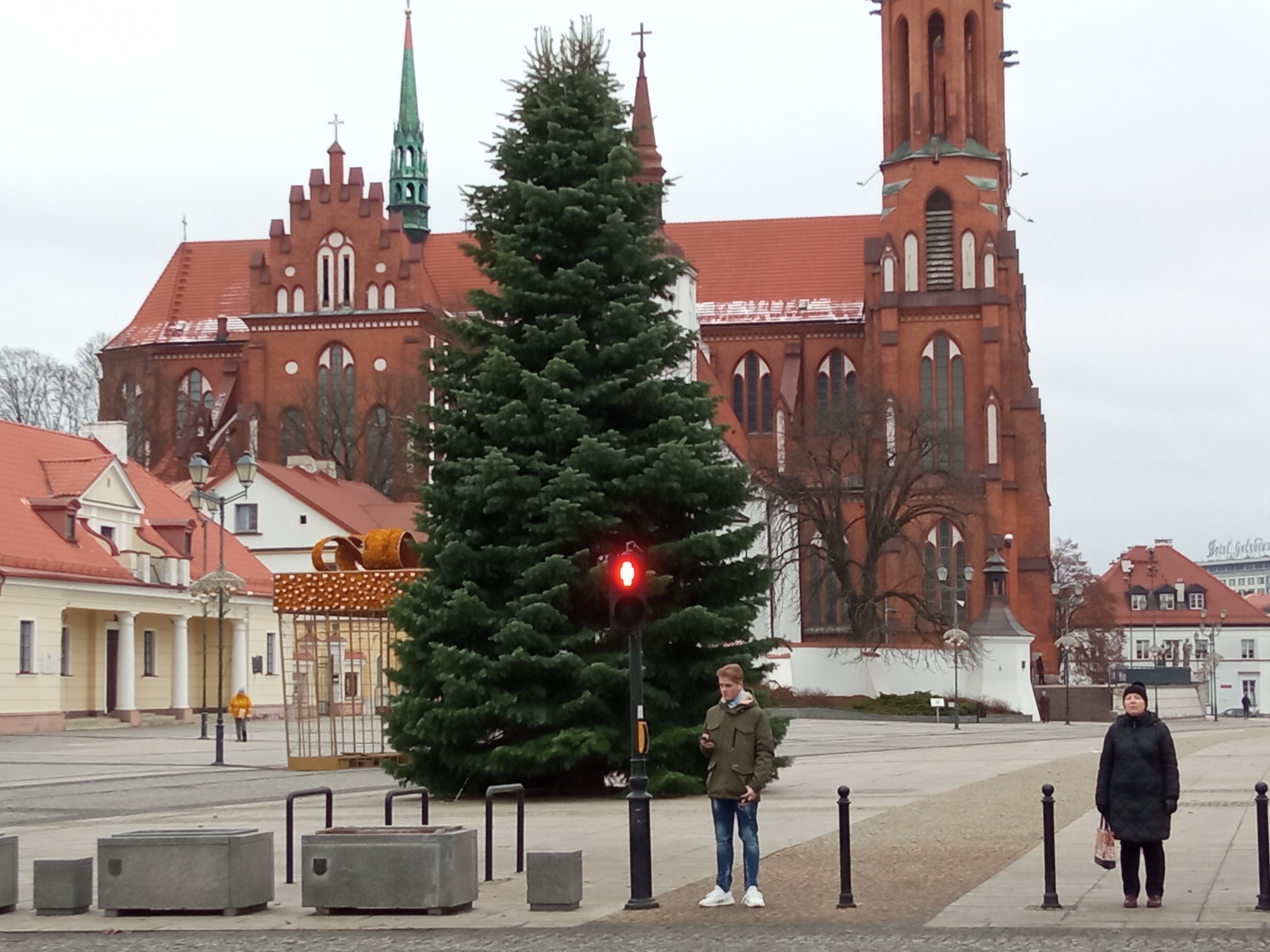 Choinka ustawiona na placu, w tle katedra
