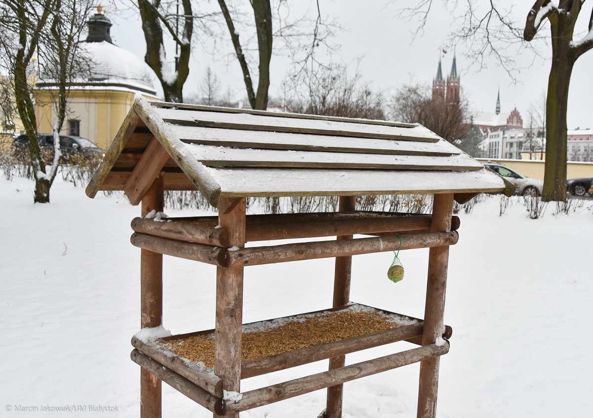 Karmnik w parku