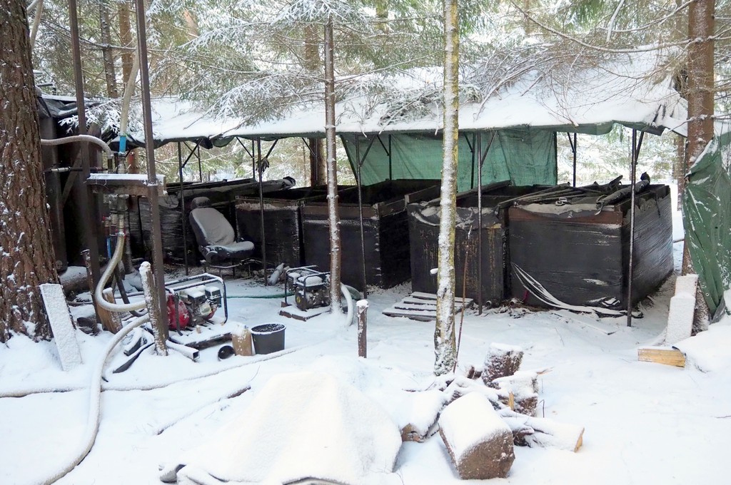 Leśna bimbrownia