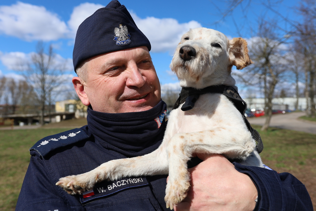 Policjant z psem