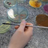 Patrycja Krystkiewicz AgarArt fot. Dariusz Piekut/Politechnika Białostocka