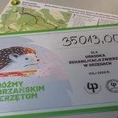 Czek