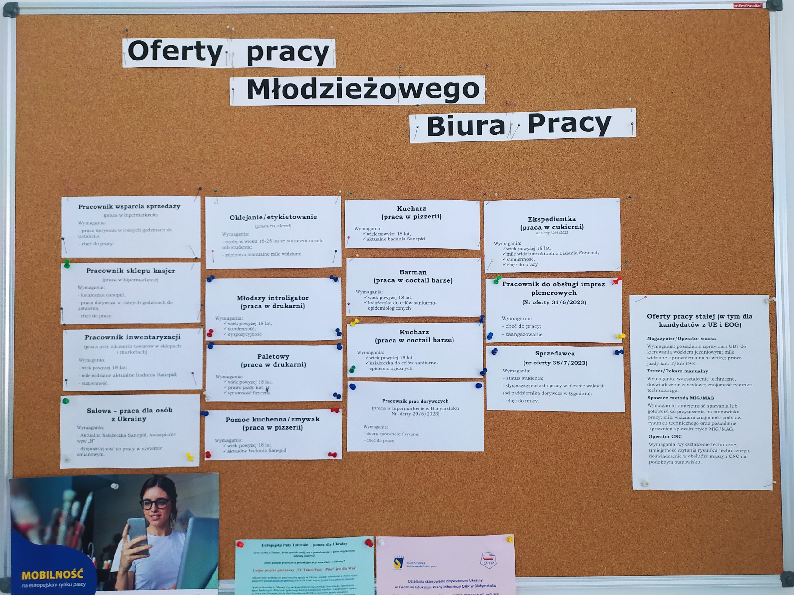 Tablica korkowa z przyczepionymi kartkami z ofertami pracy,