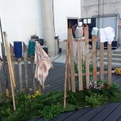 Scenografia roślinność płotek naczynia
