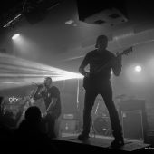 koncert