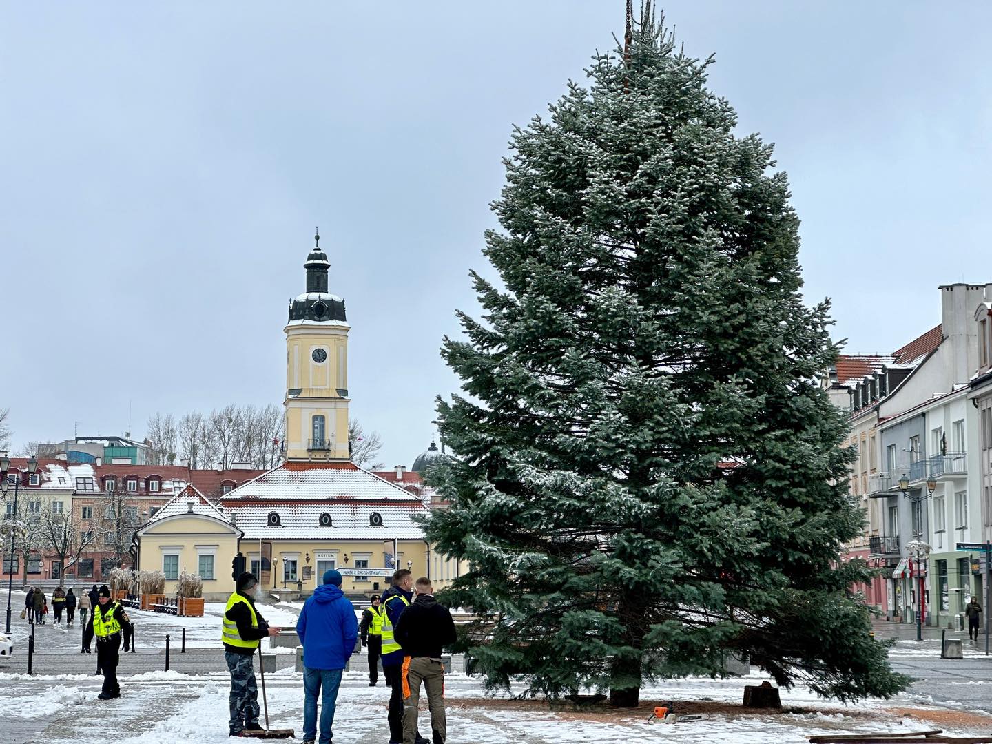 Choinka w centrum miasta