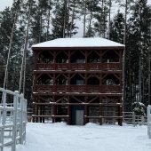 wieża widokowa w lesie