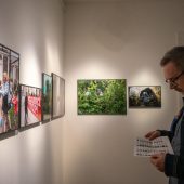 Mężczyzna ogląda wystawę fotografii.