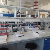 Laboratorium biotechnologiczne.