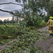 Połamany konar na drodze. Obok stoi strażak