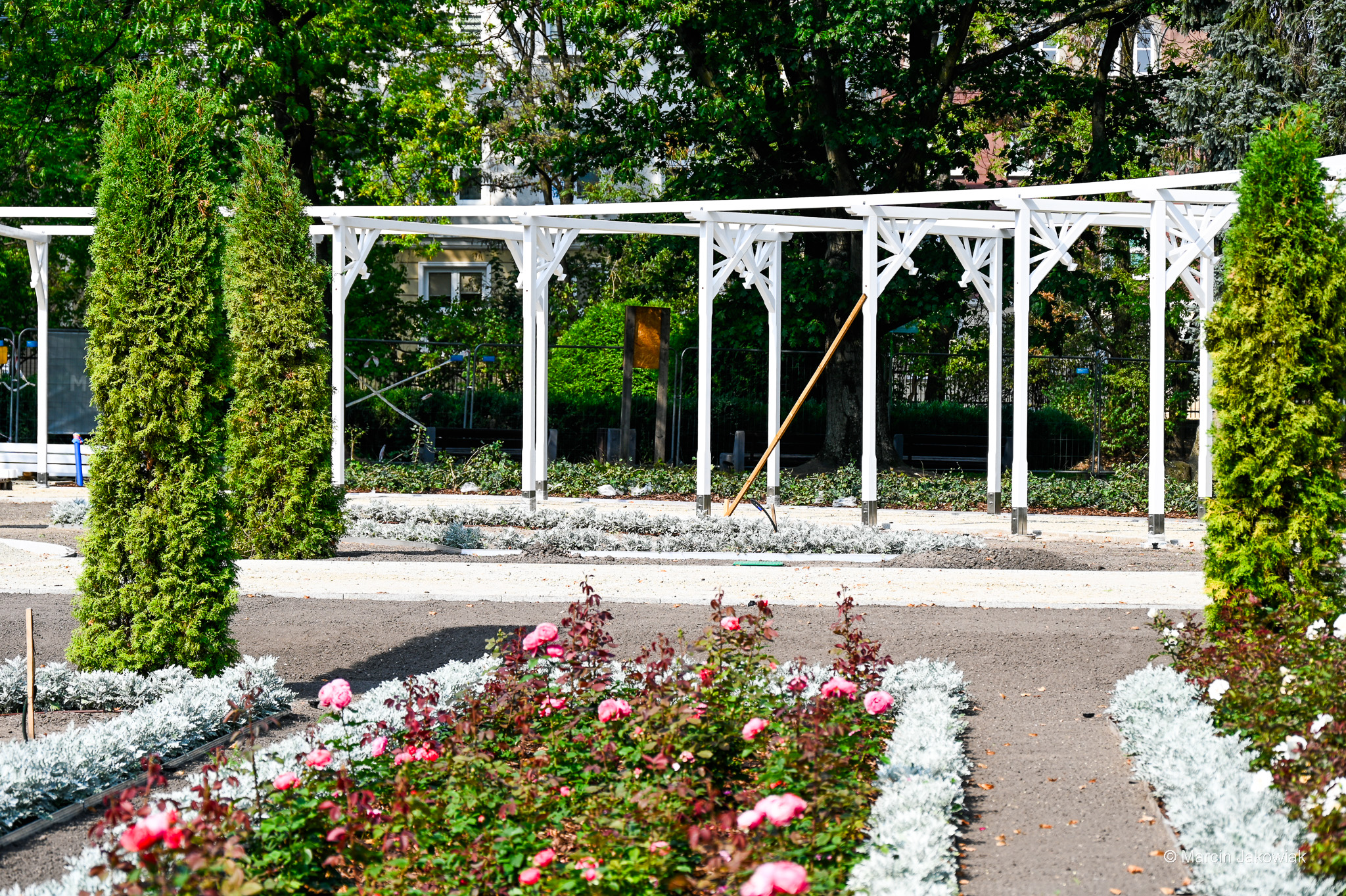 Park z różami.
