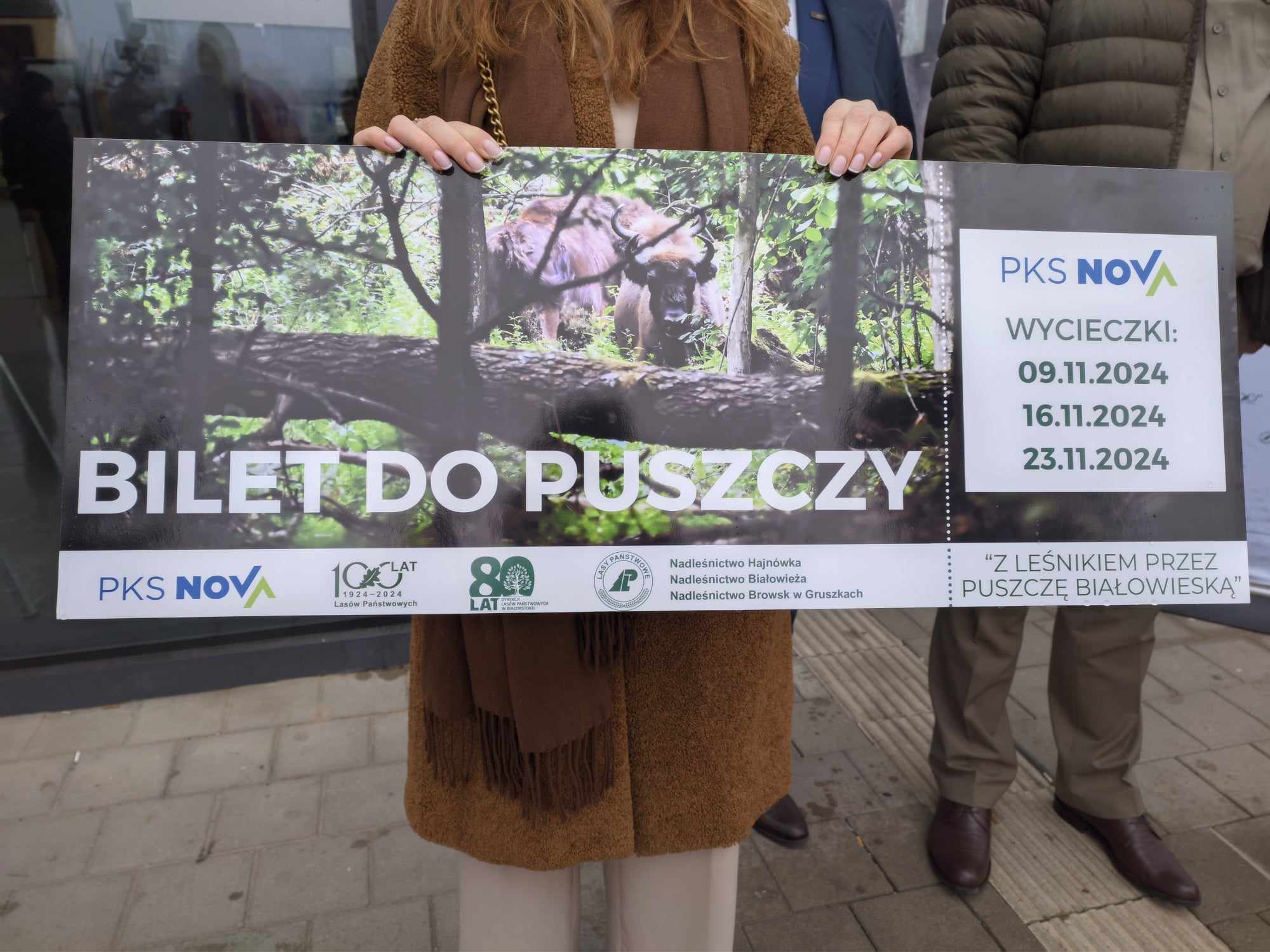 duży bilet
