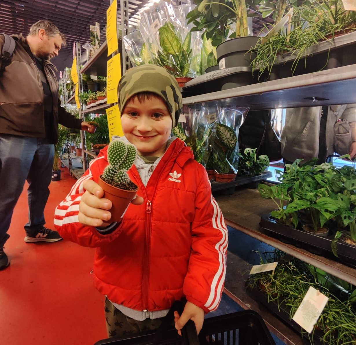 Chłopiec trzyma kaktus podczas festiwalu roślin