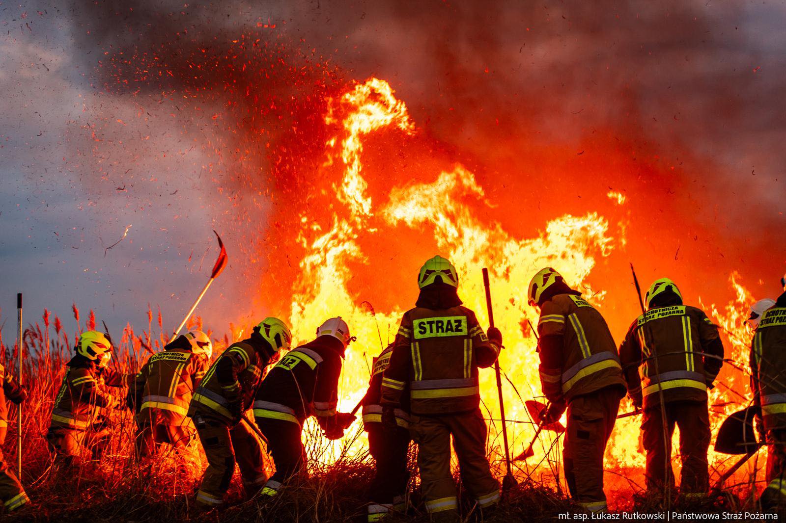 Strażacy walczą z pożarem