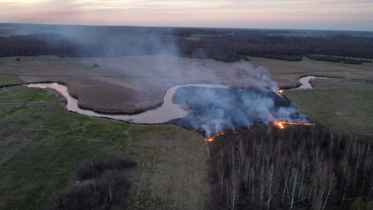 Zdjęcie lotnicze przedstawiające pożar w Biebrzańskim Parku Narodowym – płonący pas trzcin i suchych łąk nad rozlewiskami Biebrzy, z widocznym dymem unoszącym się nad terenem i otaczającym go lasem.