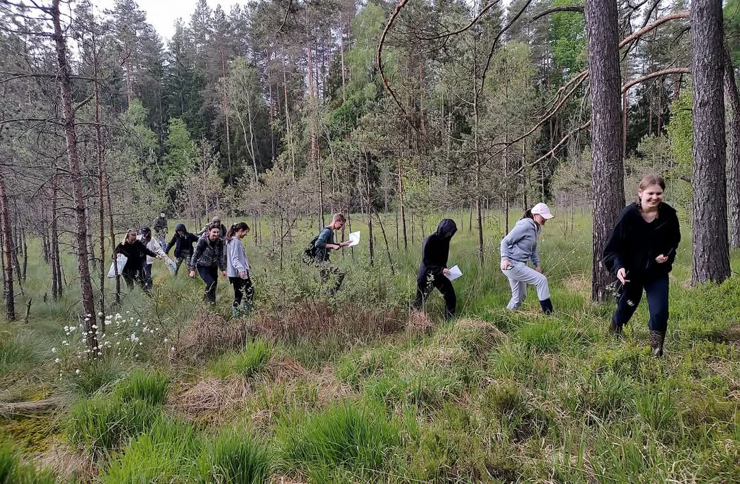Grupa studentów idzie przez podmokły teren w lesie. Młodzi ludzie ubrani są w wygodne stroje terenowe, część osób trzyma notatki. W tle widoczne są drzewa iglaste oraz bujna roślinność leśna. Zdjęcie wykonane podczas praktycznych zajęć terenowych kierunku leśnictwo.