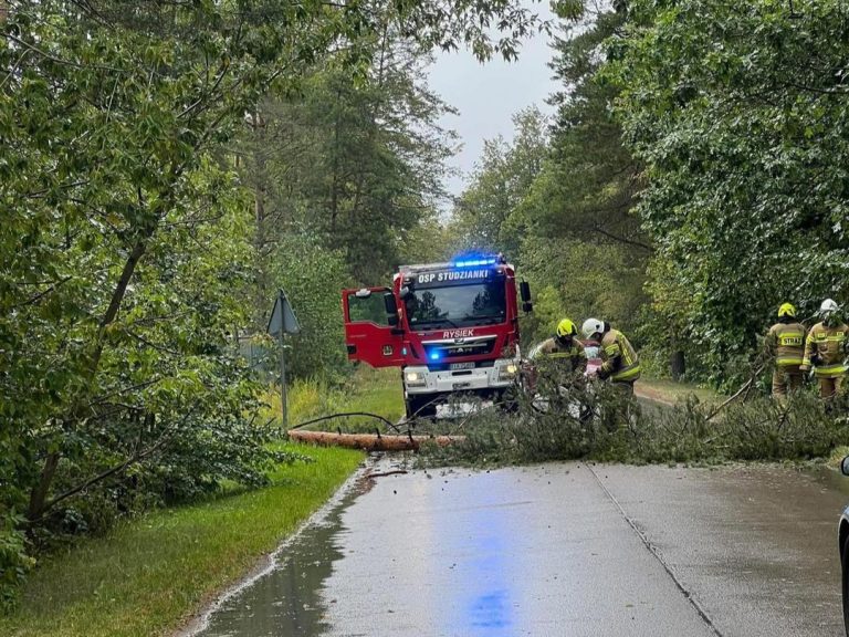 Strażacy z OSP Studzianki usuwają drzewo powalone przez silny wiatr na drogę w czasie burzy w województwie podlaskim.