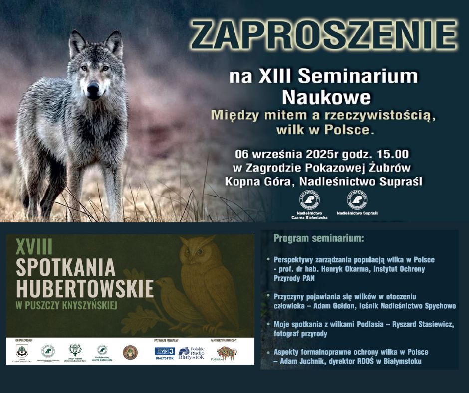 oficjalny plakat promujący seminarium
