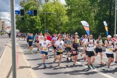 Zdjęcie 24 z 24