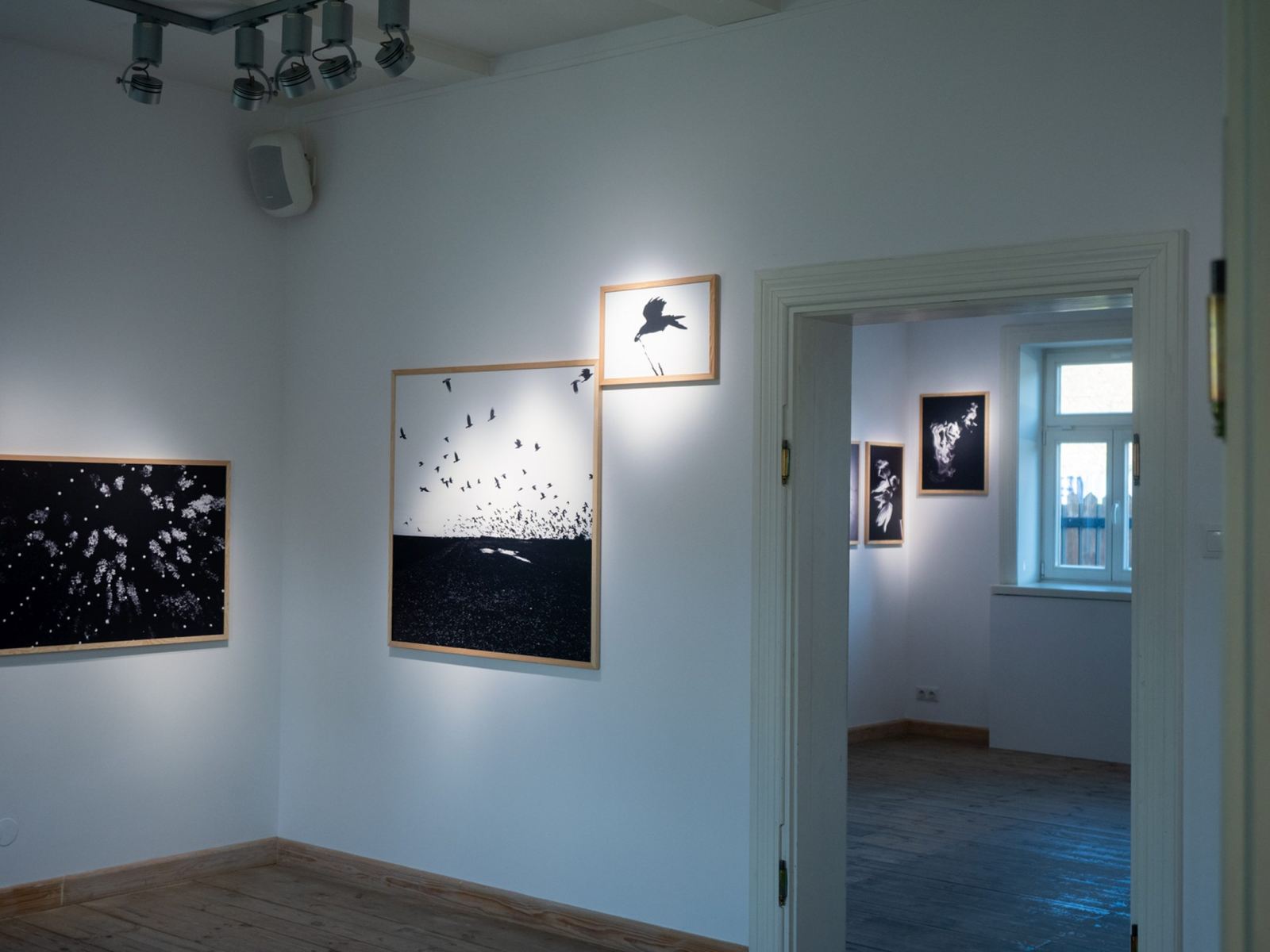 Galeria im. Sleńdzińskich, Punkt przecięcia, fot. Jerzy Doroszkiewicz