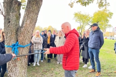 Zdjęcie 10 z 18