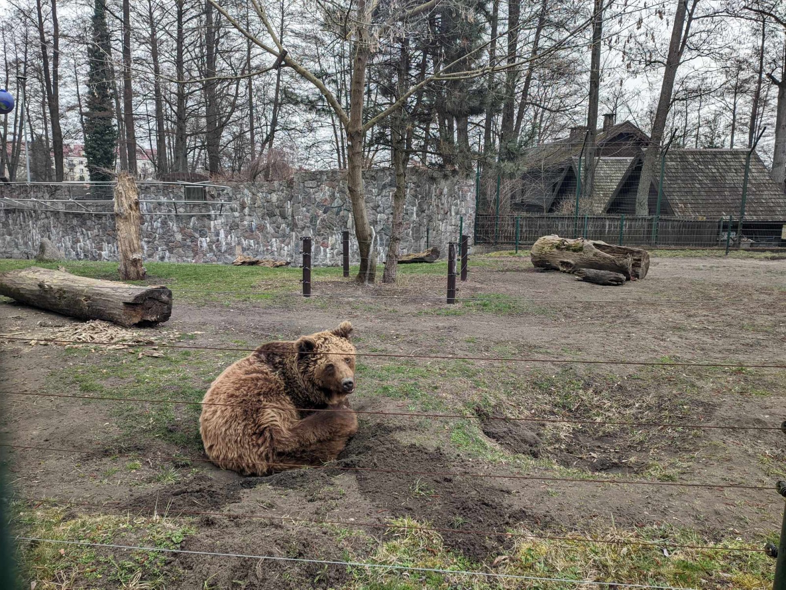 Akcent ZOO, fot. Hanna Kość